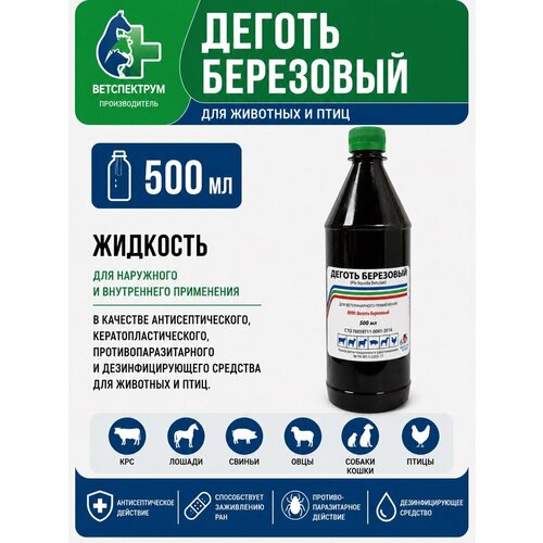 ���� ������ ��������� 500 ��, ������ ������