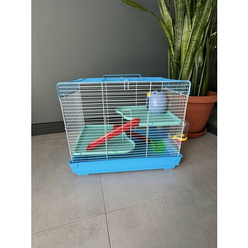 ���� ������ ��� �������� 45.5�28.5�37 ��, ��� �����, �����, ���, �����, ����� �����������, �������, ������ ������