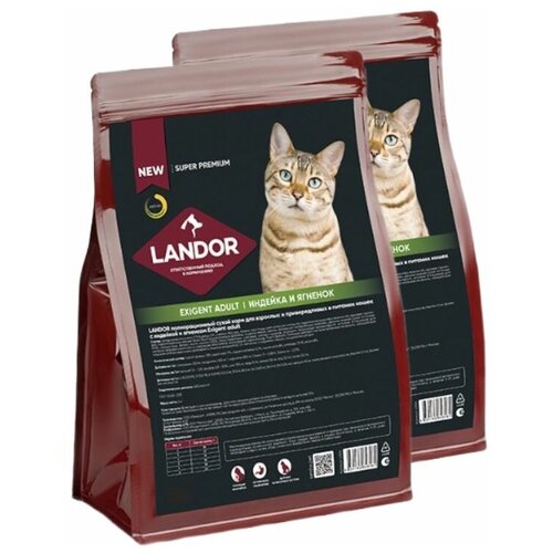  LANDOR (1+1)          ,   , 400    -     , -,   