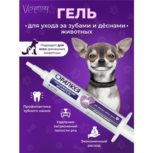 ���� ���� ��� ����� � ������� �����, ����� ��� ����� � �����. �������� �� ������� ������ � ������� ����� ��� ��������, ������ ������