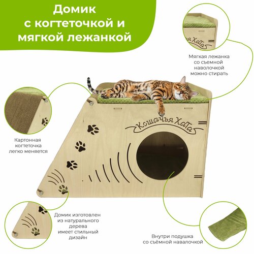 ���� ����� ��� ����� ��������� � �����������, � ������ ��������, ������ ������� �� ������� ����������, 62�32�40 ��, ������ ������