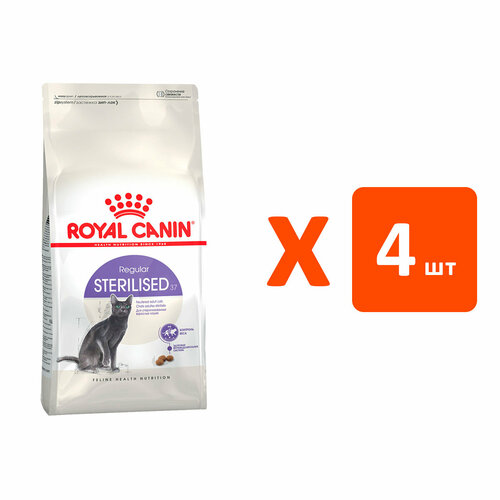  ROYAL CANIN STERILISED 37        2   4    -     , -  