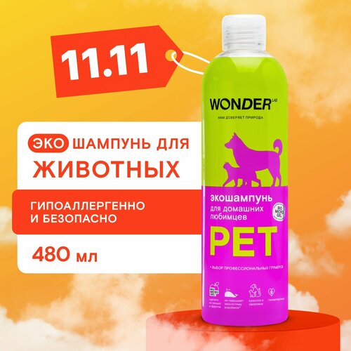   - WONDER LAB    , 480  , 400    -     , -  