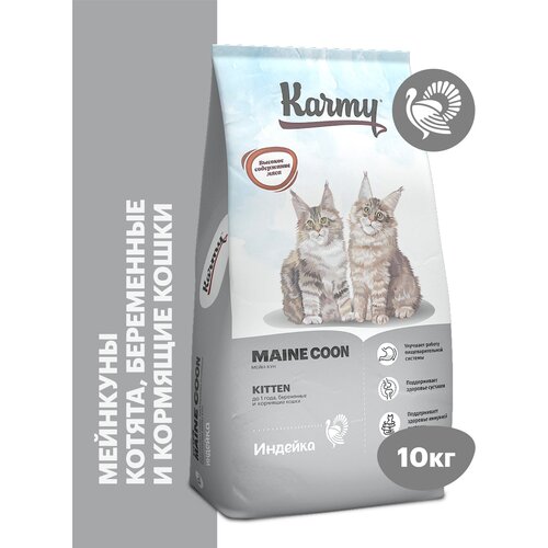    KARMY Maine Coon           1   10   -     , -  