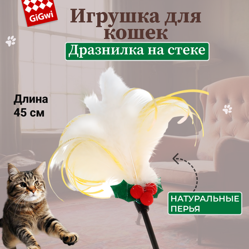 ���� GiGwi ��������� ��������� ��� ����� � ����� � �������������, 45 ��, ������ ������