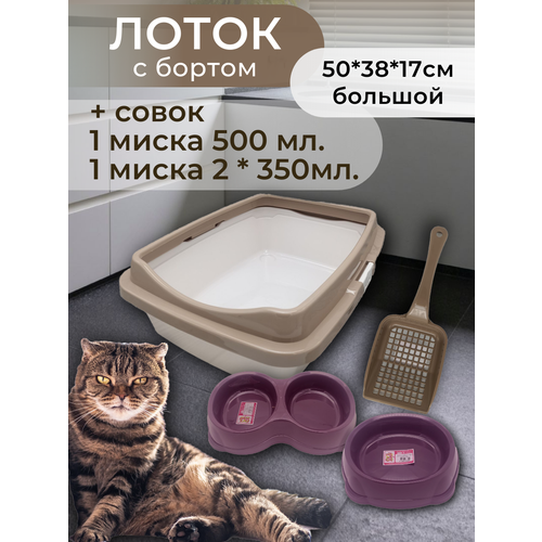 ���� ����� ����� � ������, � ������� � ������, ����� ��� �����, ������ ��� ����� ������� �������-��������, ������ ������