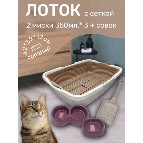 ���� ����� ����� � ������ � ������� � ������, ����� ��� �����, ������ ��� ����� ������� �������-��������, ������ ������