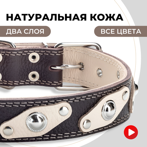 ���� ������� ������� ��� ������� � ������� �����, ��� ������ ������� �����, �����������, ������ ������