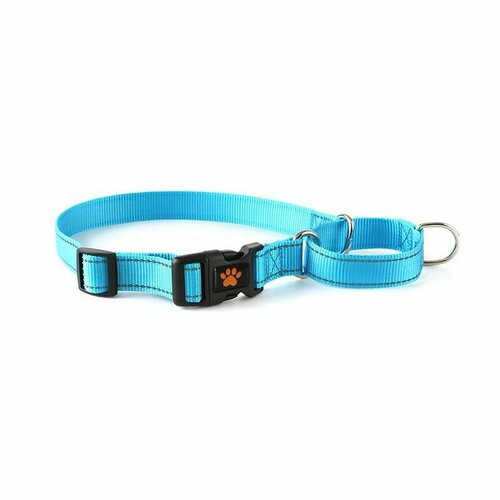 ���� ������� ��� ����� ���������� (����������) ��������������� S, �������, ������ ������