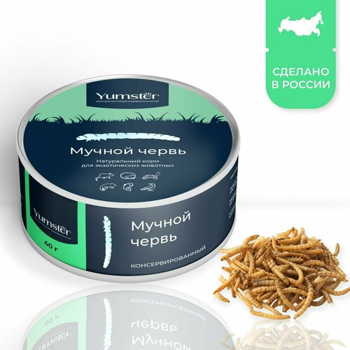 ���� ���������������� ������ �����, ���� ��� ����, �������, �������, ����, ������, ����, ��������� ��� ��������, 40 �, ������ ������