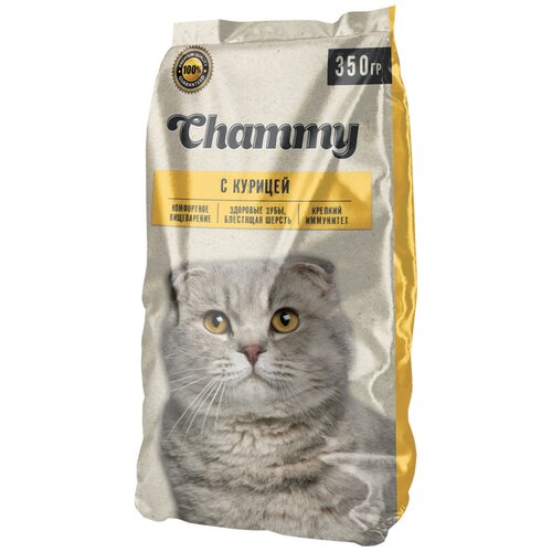  CHAMMY      (10 )