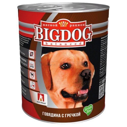       Big Dog, ,   1 .  2 .  850  (    )   -     , -  