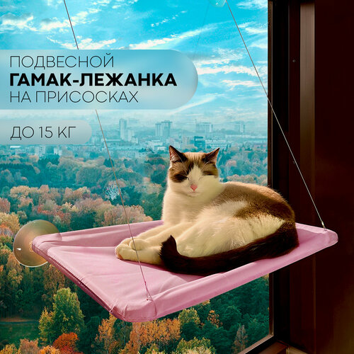 ���� �������� �������� ����� ����� ��� ����� � ����� �� ����, ����� ��������, �������, ������ ������