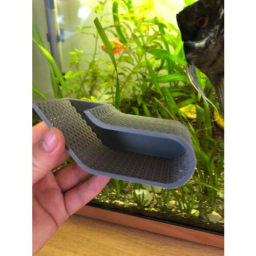 ���� ����� ��� ������� 4�5 ��, ������ ������