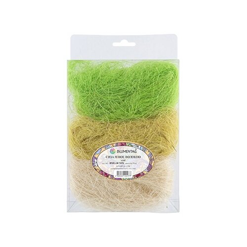 ���� ���������� 