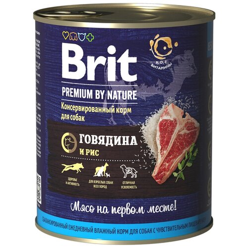     Brit /  Premium by Nature         850 /     -     , -  