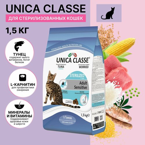    Unica Classe     , 1,5.   -     , -  