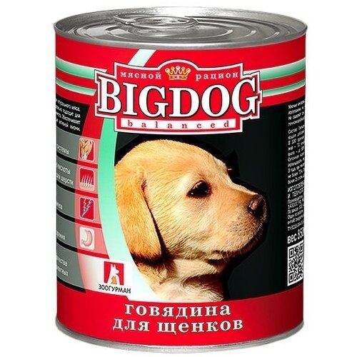      BIG DOG (1635) 0,85  18949 (10 )   -     , -,   