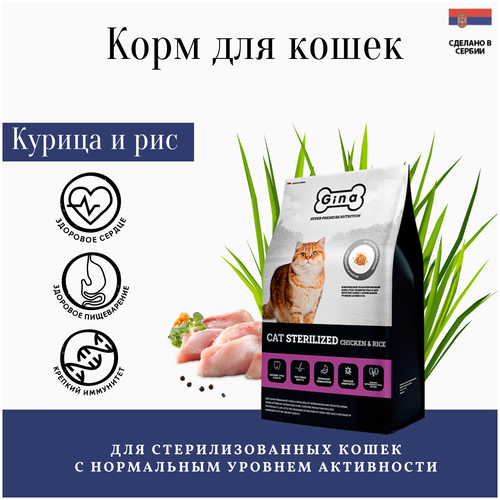  Gina          (cat sterilized chicken&rice Serbia)   -     , -,   