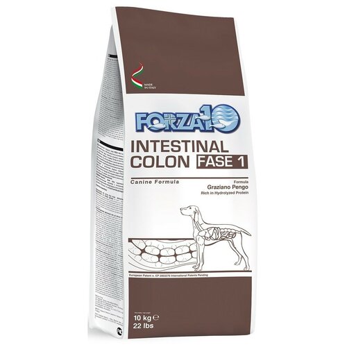  FORZA10 DOG INTESTINAL COLON FASE 1         (10 )   -     , -,   