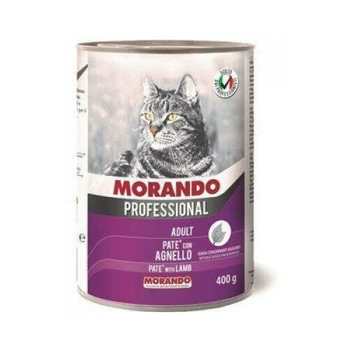     Morando Professional,    400    -     , -,   