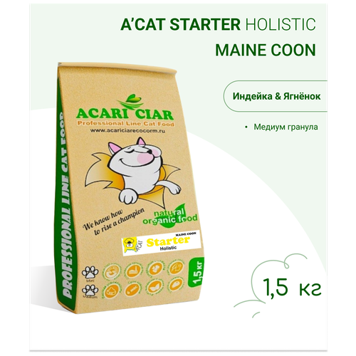      Acari Ciar A`Cat MAINE COON STARTER 1,5        -     , -,   