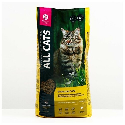    ALL CATS   , , 13    -     , -,   