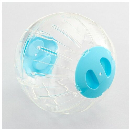 ���� ��� ��� �������� Carno, 33 ��, �����, ������ ������