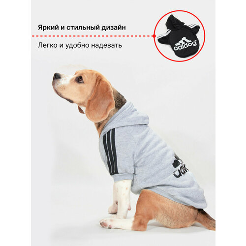 ���� ���������-���� ��� ����� � ����� ������ ��� �������� ������ (�����) � ���������, ������ ������