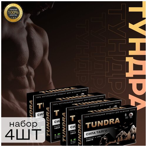 ���� ������ ������� ����������� ������, 20 ������, 4��, ������ ������