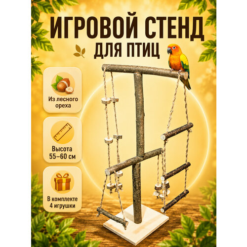 ���� ����� ������� ��� ���� � �������� ����������� �� ����������� ���������� ������� �����, ������ ������