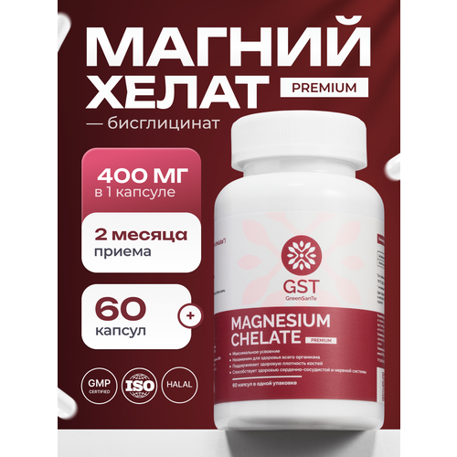 ���� ������ ����� GST 60 ������, ������ ������
