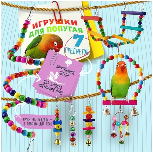 ���� ����� ������� ��� �������� � ����, ������ ������