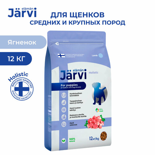  Jarvi          , 1,5 .  8    -     , -  