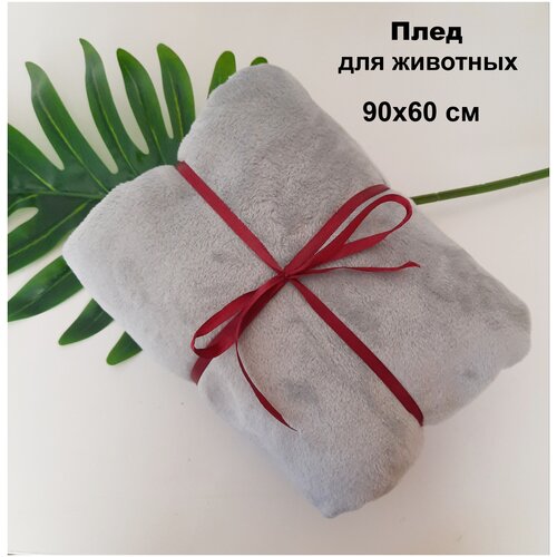 ���� ���� ��������� ��� �������� ����� � �����, ���� ������-�����, 90�60��. �������, �����, ���������,, ������ ������