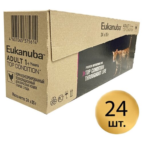     Eukanuba Adult Top Condition      , 85. (24.)   -     , -,   