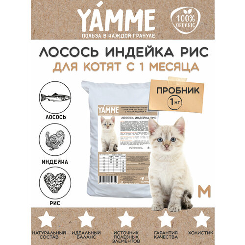    YAMME   1       1    -     , -  