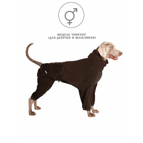 ���� �������� ���������� ��� ����� �� ������ , ���� ����������, ������ M4, ������ ������