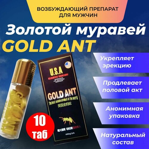  Gold Ant,     ,  ,     -     , -  