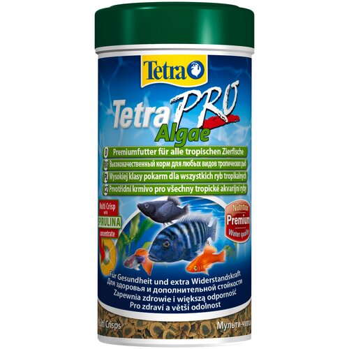       ,  Tetra TetraPro Algae, 250 , 55    -     , -  