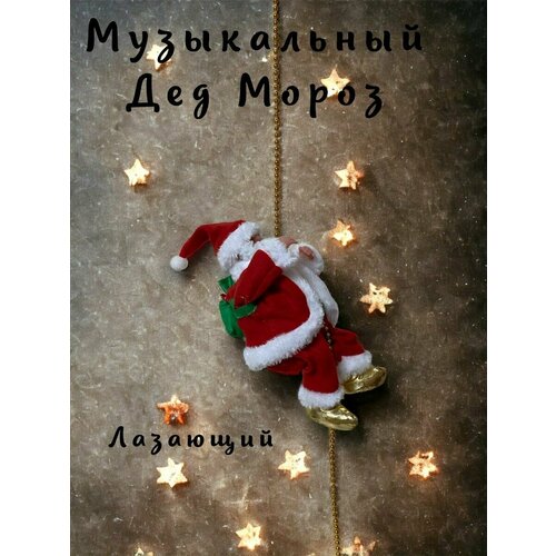 ���� ��� ����� ��������� �� ������� ����� ��� 2024 ������� �� ���� Berd, ������ ������