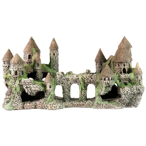 ���� ����/������ ����� ����� �104 21.7�19�19 ��, ������ ������