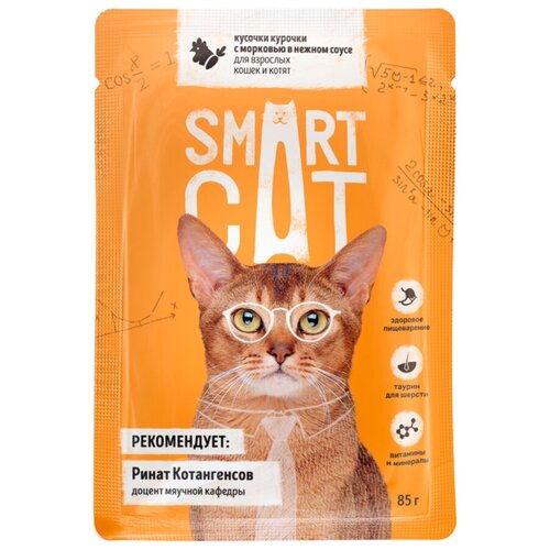 Smart Cat      :        ( 25 .)   -     , -,   