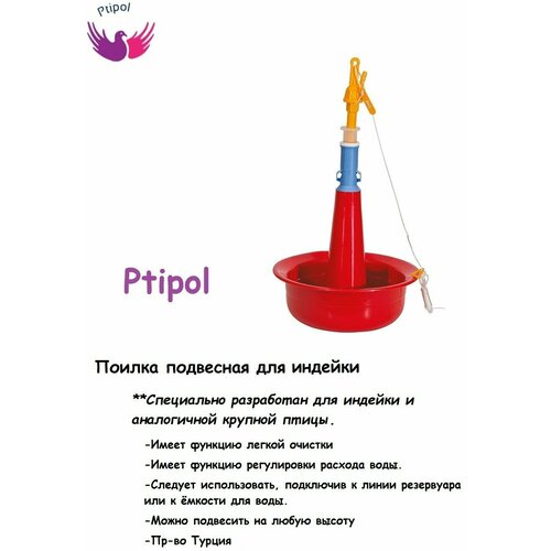    Ptipol   - 