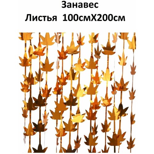 ���� �������� ������� 