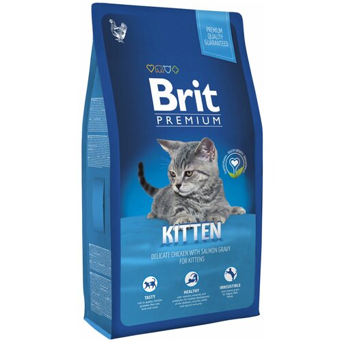      Brit Premium,      8000  (  )   -     , -  