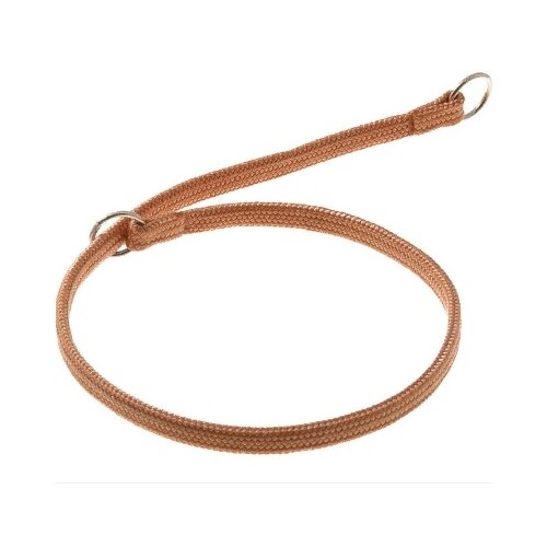 ���� ������������� ������� ZooOne �����-����� � 2-� �������� 7 ��, ����� �������� 45 ��, ������ ��� 45 ��, 1 ��., ������-����������, XL, ������ ������