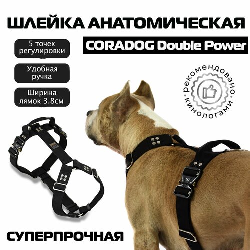 ���� ������ � ������ ��� ����� ����������� �������������, ��� ���, ����������, CORADOG Double Power ��� ������� � ������� �����, ������ L, ������, ������ ������