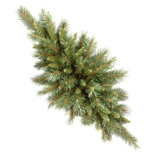  National Tree Company    76 ,  31TF30C,  