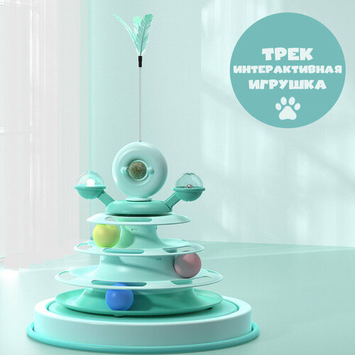 ���� ������������� ������� ��� ����� ���� � ��������, �����, ����� ( ��������� ), ������ ������